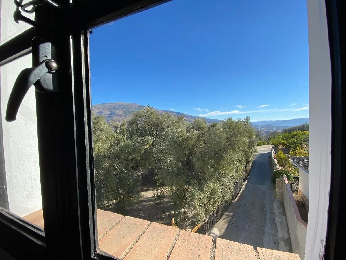 Casa Limon Panzió Pinos del Valle